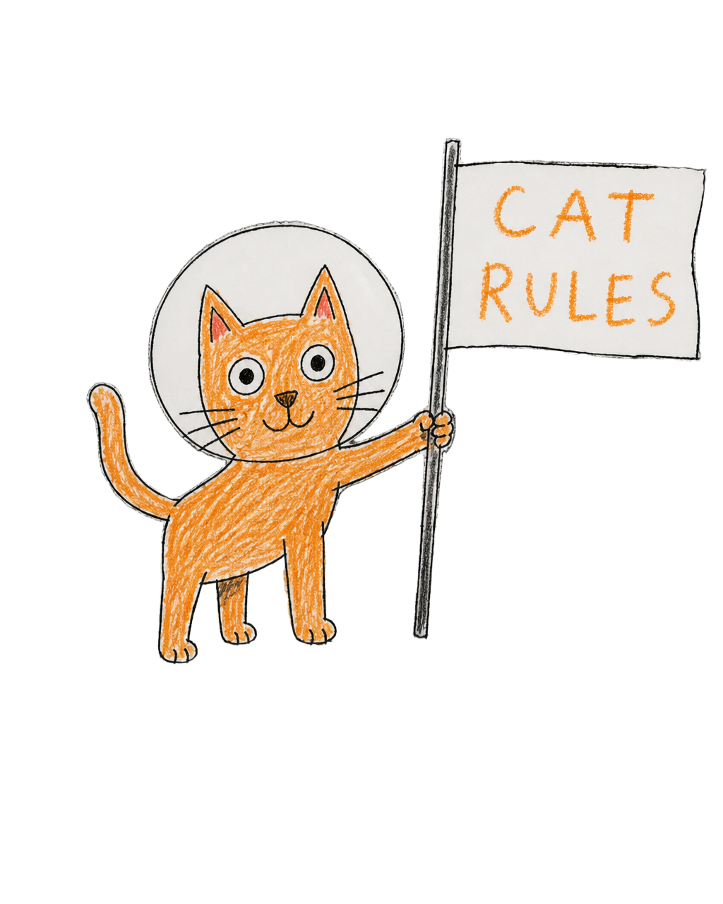 $BTCC cat on the moon